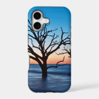 USA, South Carolina, Edisto Island, Botany Bay