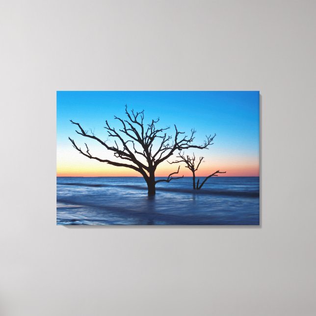 USA, South Carolina, Edisto Island, Botany Bay Canvas Print (Front)