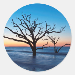 USA, South Carolina, Edisto Island, Botany Bay Classic Round Sticker