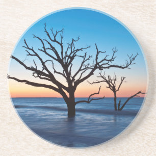USA, South Carolina, Edisto Island, Botany Bay Coaster
