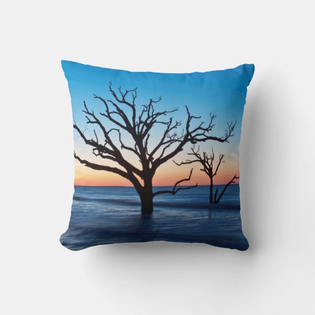 USA, South Carolina, Edisto Island, Botany Bay Cushion (Front)