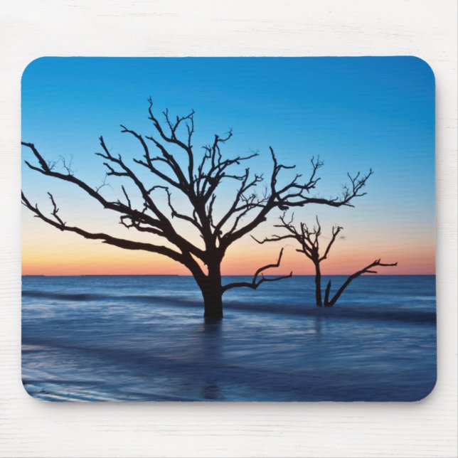 USA, South Carolina, Edisto Island, Botany Bay Mouse Pad (Front)
