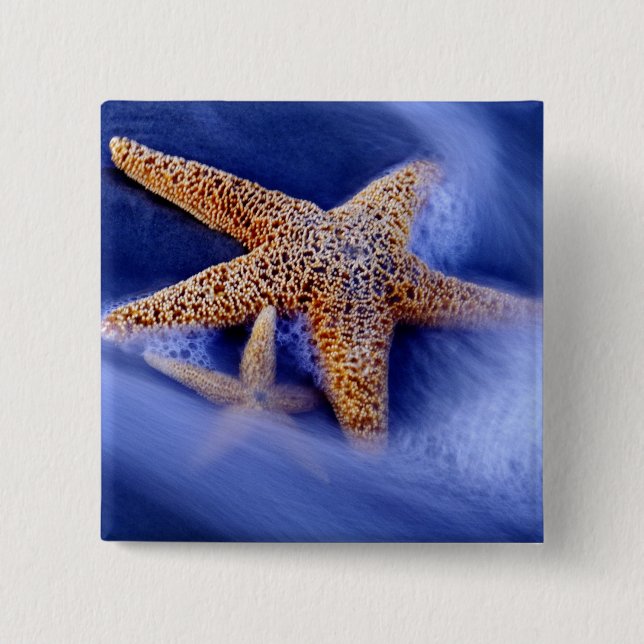 USA, South Carolina, Hilton Head Island. Two 15 Cm Square Badge (Front)