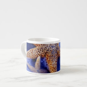 USA, South Carolina, Hilton Head Island. Two Espresso Cup