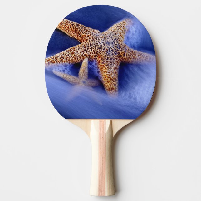 USA, South Carolina, Hilton Head Island. Two Ping Pong Paddle (Front)