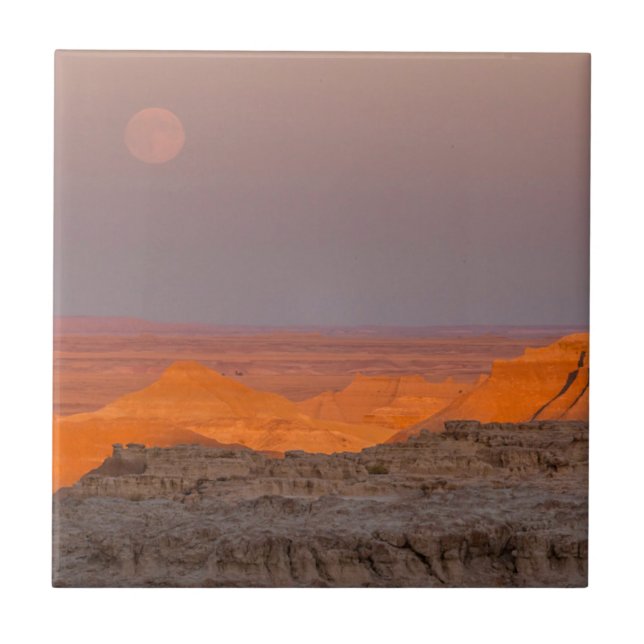 USA, South Dakota, Badlands National Park Tile (Front)