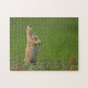 USA, South Dakota, Custer State Park Jigsaw Puzzle