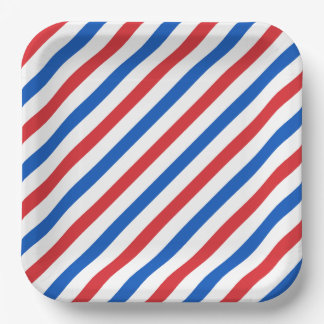USA Stripe 1 Paper Plate