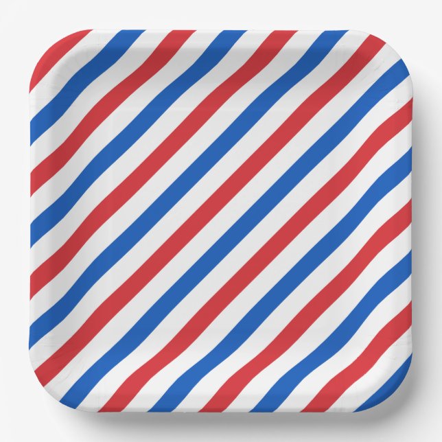 USA Stripe 1 Paper Plate (Front)