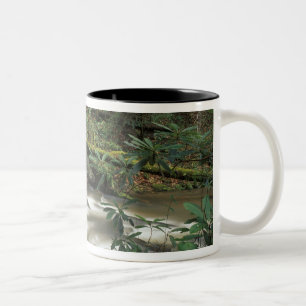 USA, Tennessee. Big South Fork National River Two-Tone Coffee Mug