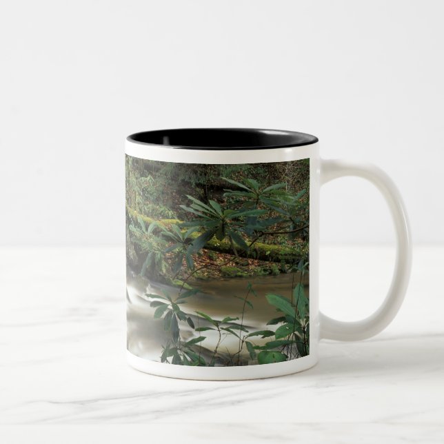USA, Tennessee. Big South Fork National River Two-Tone Coffee Mug (Right)