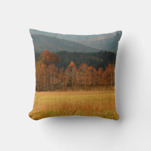 USA, Tennessee. Cades Cove In Smoky Mountain Cushion