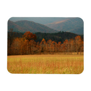 USA, Tennessee. Cades Cove In Smoky Mountain Magnet