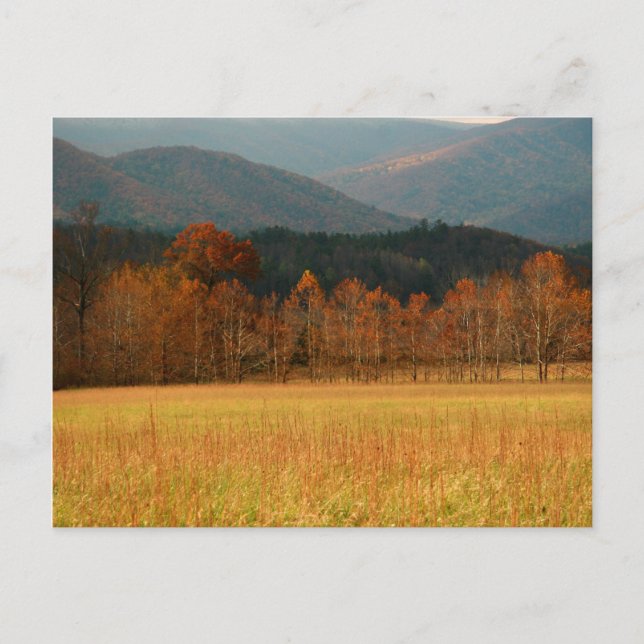 USA, Tennessee. Cades Cove In Smoky Mountain Postcard (Front)