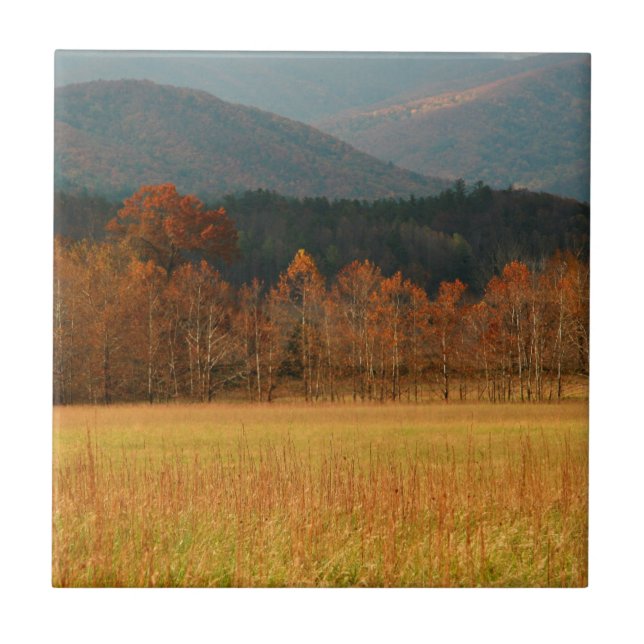 USA, Tennessee. Cades Cove In Smoky Mountain Tile (Front)