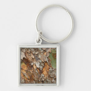 USA, Tennessee, Close Up Of Bark On A Tree Key Ring