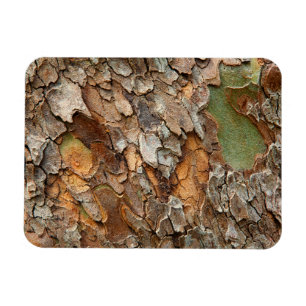 USA, Tennessee, Close Up Of Bark On A Tree Magnet