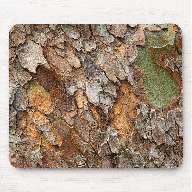 USA, Tennessee, Close Up Of Bark On A Tree Mouse Pad (Front)