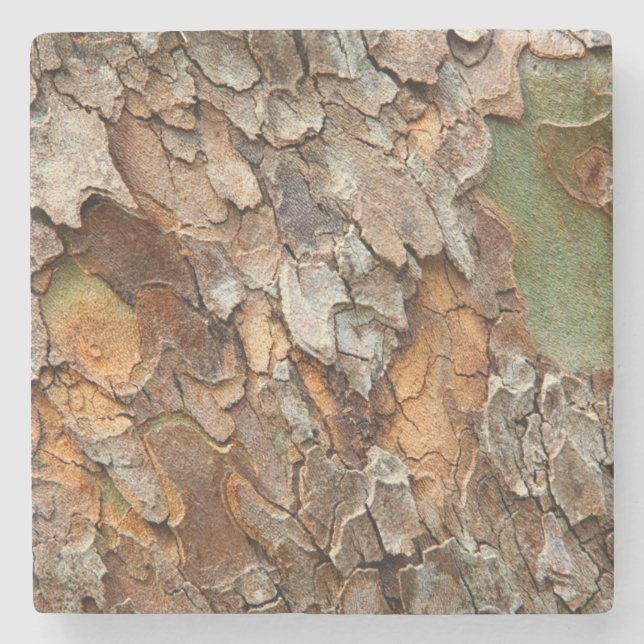 USA, Tennessee, Close Up Of Bark On A Tree Stone Coaster (Front)