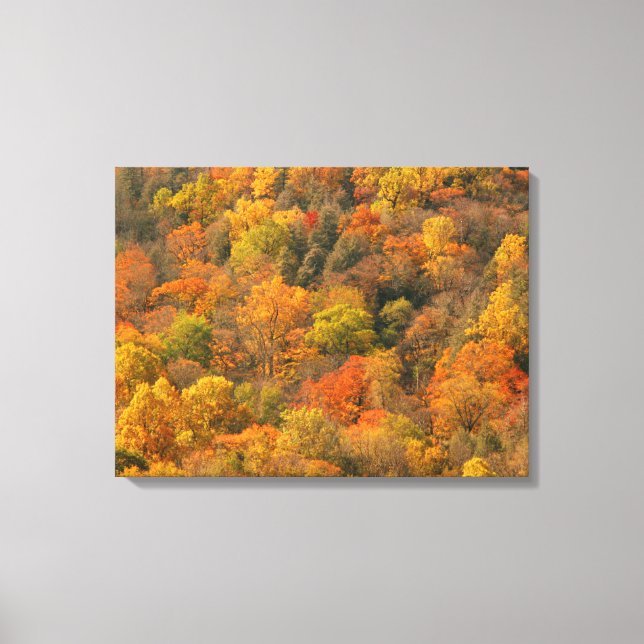 USA, Tennessee. Fall Foliage 2 Canvas Print (Front)