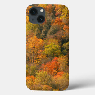 USA, Tennessee. Fall Foliage 2 iPhone 13 Case