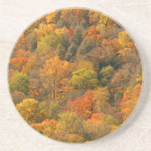 USA, Tennessee. Fall Foliage 2 Coaster
