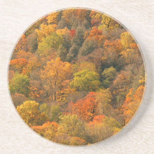 USA, Tennessee. Fall Foliage 2 Coaster (Front)