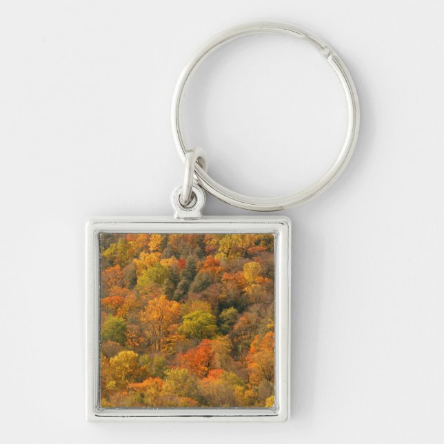USA, Tennessee. Fall Foliage 2 Key Ring (Front)