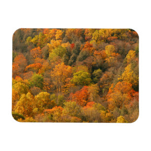 USA, Tennessee. Fall Foliage 2 Magnet