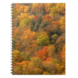 USA, Tennessee. Fall Foliage 2 Notebook