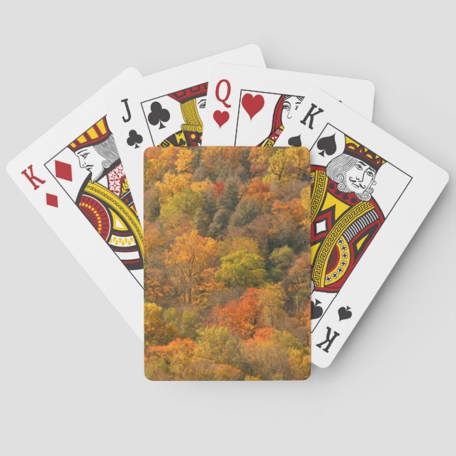 USA, Tennessee. Fall Foliage 2 Playing Cards (Back)