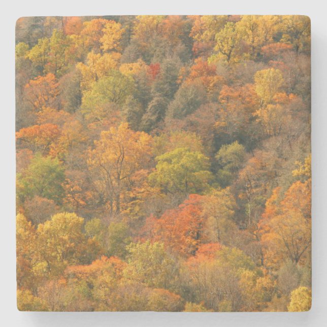 USA, Tennessee. Fall Foliage 2 Stone Coaster (Front)