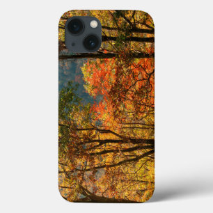 USA, Tennessee. Fall Foliage iPhone 13 Case