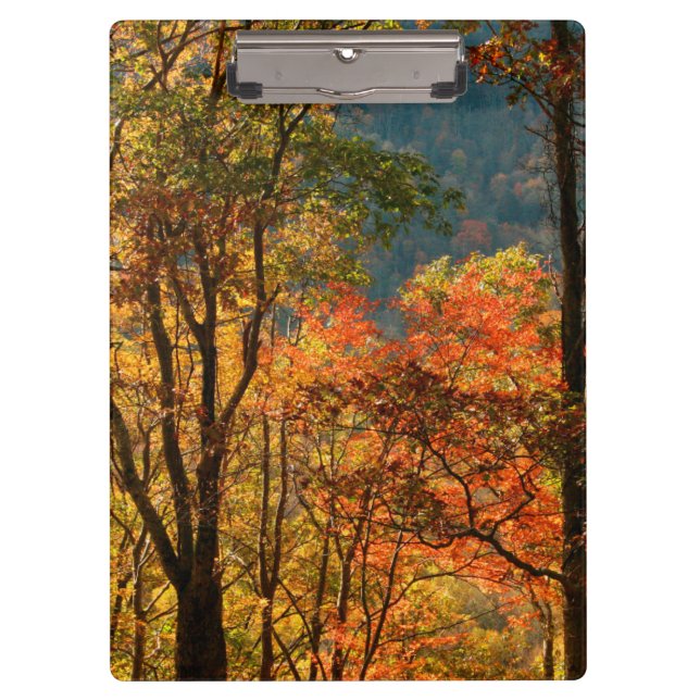 USA, Tennessee. Fall Foliage Clipboard (Front)