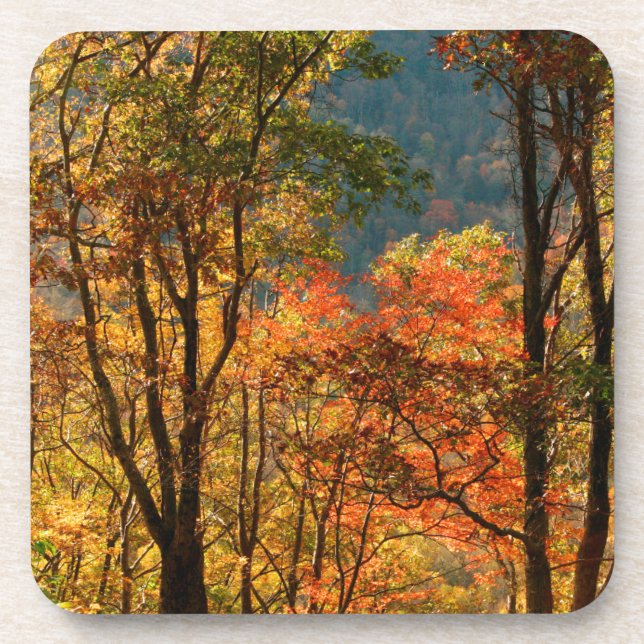 USA, Tennessee. Fall Foliage Coaster (Front)