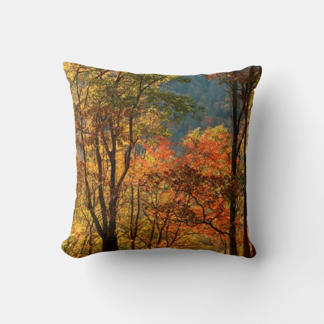 USA, Tennessee. Fall Foliage Cushion (Front)
