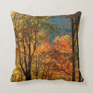 USA, Tennessee. Fall Foliage Cushion