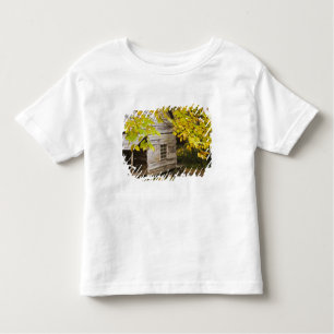 USA, Tennessee, Gatlinburg. Great Smoky Toddler T-Shirt