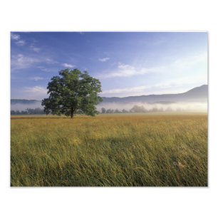 USA, Tennessee. Great Smokey Mountains 2 Photo Print