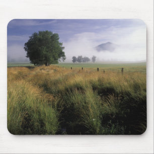 USA, Tennessee, Great Smokey Mountains Mouse Pad