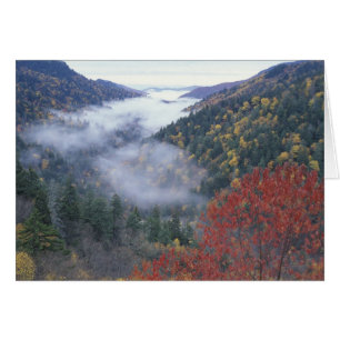USA, Tennessee, Great Smokey Mountains National
