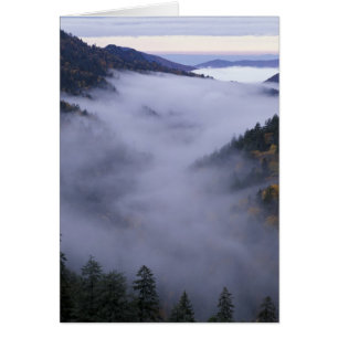USA, Tennessee. Great Smokey Mountains National