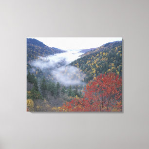 USA, Tennessee, Great Smokey Mountains National Canvas Print