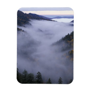 USA, Tennessee. Great Smokey Mountains National Magnet