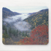 USA, Tennessee, Great Smokey Mountains National