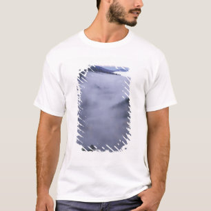 USA, Tennessee. Great Smokey Mountains National T-Shirt