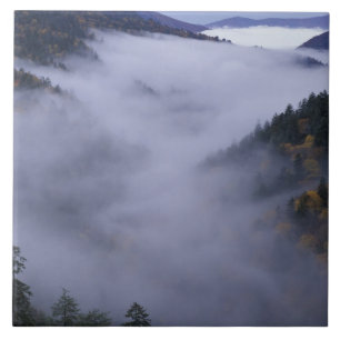 USA, Tennessee. Great Smokey Mountains National Tile