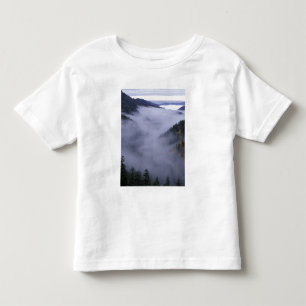 USA, Tennessee. Great Smokey Mountains National Toddler T-Shirt