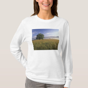 USA, Tennessee. Great Smokey Mountains T-Shirt