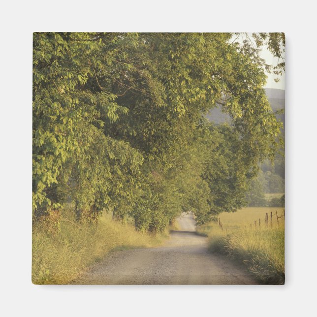 USA, Tennessee, Great Smoky Mountains National 2 Magnet (Front)